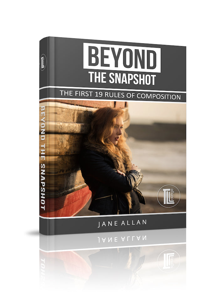 Beyond The Snapshot